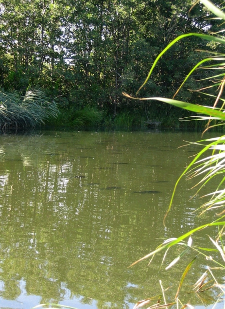 Revealing reflections Revealing reflections