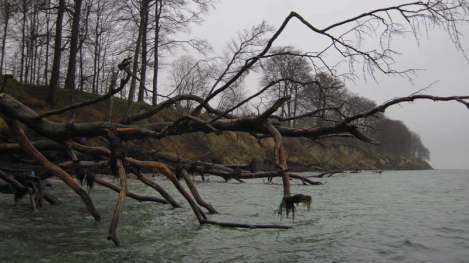 A wet day in November A wet day in November