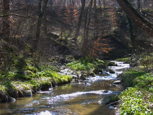 Typical stream Typical stream