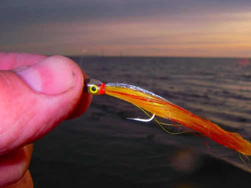 Jiggy Finn Jiggy Finn