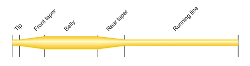 Fly line anatomy Fly line anatomy