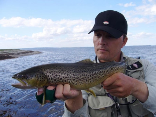 Black dots Black dots