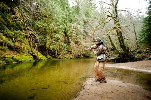 In the forest In the forest