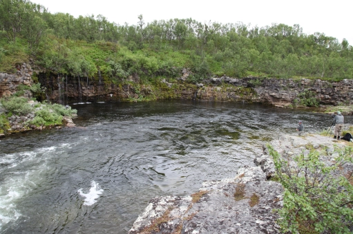 Fantastic salmon pool Fantastic salmon pool