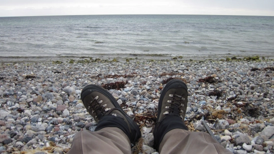 A great view A great view