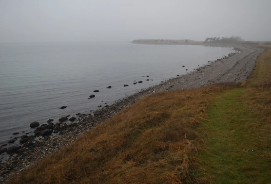 Severely struck - image Severely struck - image