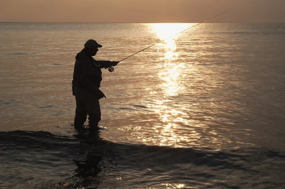 Fantastic spring - image Fantastic spring - image