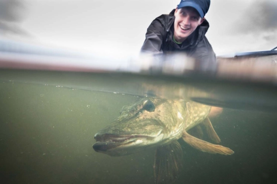 Releasing a pike Releasing a pike