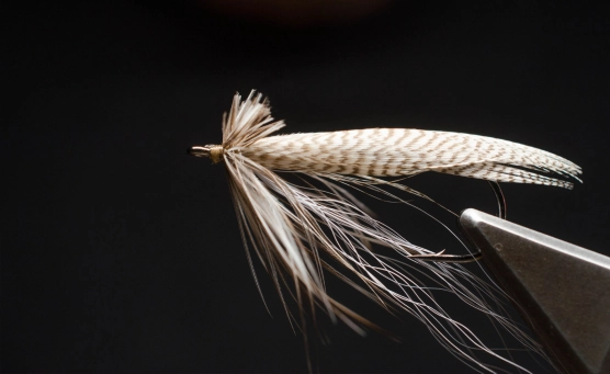 Finished Brown Owl Finished Brown Owl