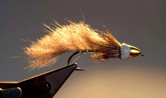 FMJNM - common cone FMJNM - common cone