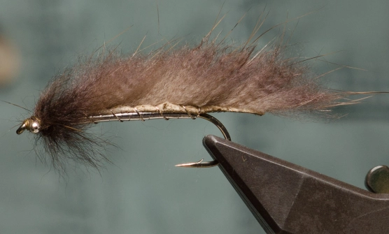 The Fair Fly The Fair Fly