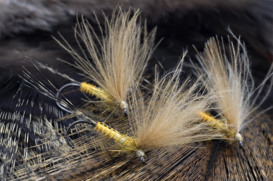 The final result The final result