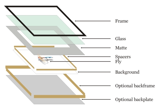 Shadow frame construction Shadow frame construction