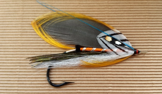 Gray Ghost - full dressed Gray Ghost - full dressed