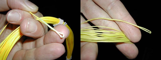 Loops Loops