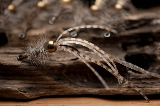 A close-up A close-up