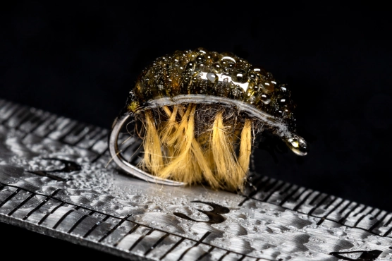 Stitch-Up Shrimp Stitch-Up Shrimp