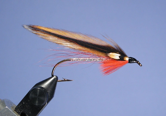 Allagash Al Allagash Al