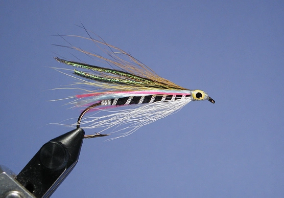 Herb Johnson Special Herb Johnson Special