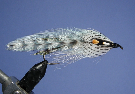 Parson Tom Parson Tom