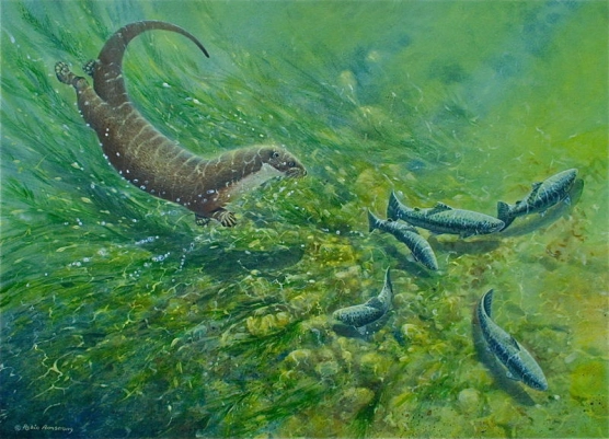 Otter scattering Seatrout Otter scattering Seatrout