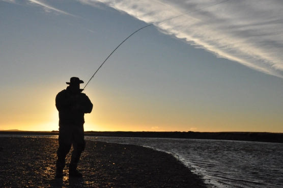 The battle continues The battle continues