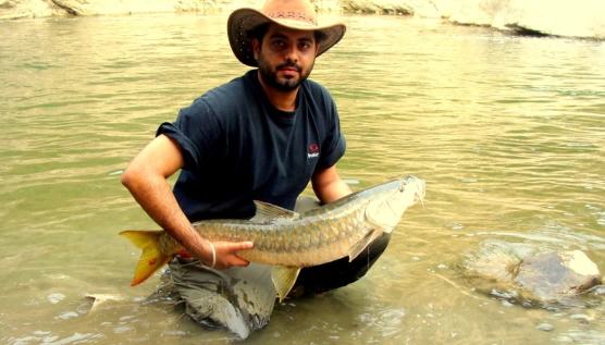 A large mahseer A large mahseer