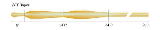 The WTF taper The WTF taper