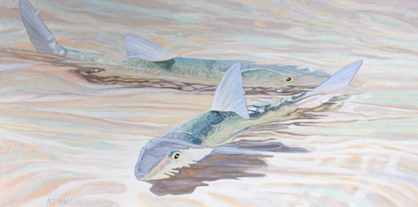 Tailing Bones Tailing Bones