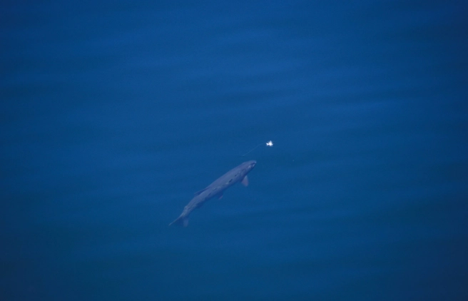 It will take... It will take...