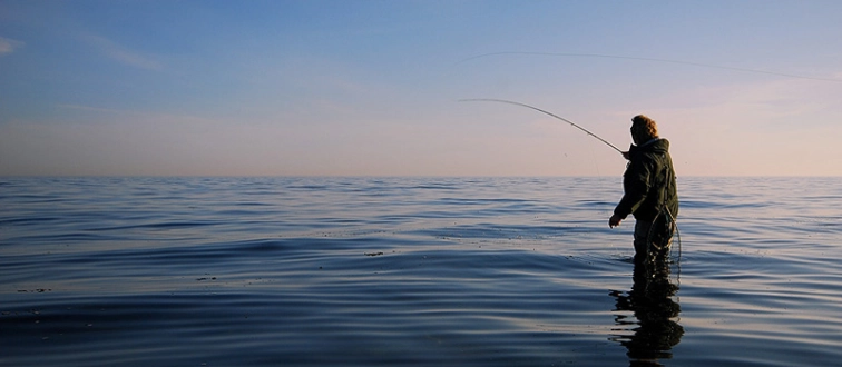 The visitors day 2 The visitors day 2