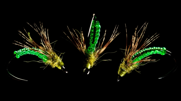 Body structure Body structure