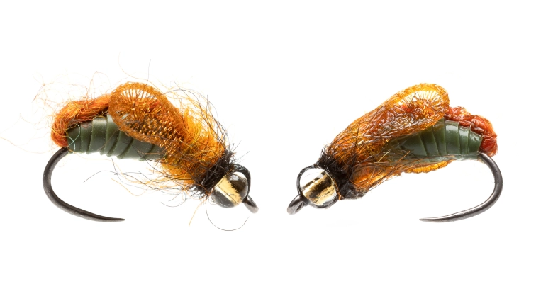 Fluffy and collapsed Fluffy and collapsed