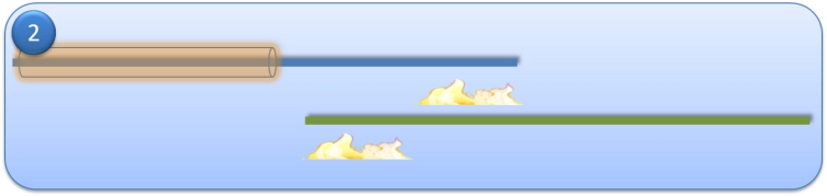 Step 2 - Heat the tips of the fly lines.  Step 2 - Heat the tips of the fly lines.