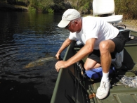 Snook Fishing in Southwest Florida