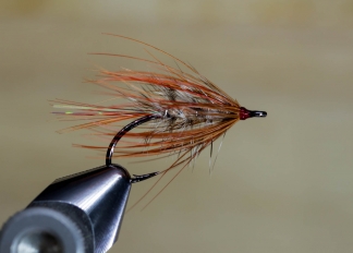 Autumn Fly, Global FlyFisher