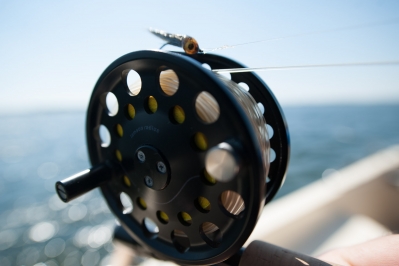 Flies at the water | Global FlyFisher | A small image gallery with some ...