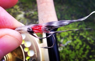 Sea trout flies. Peacock Minnow. Fly tying with Eivind Berulfsen 