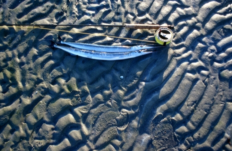 Garfish Caught On Spining Bait Stock Photo 1740766844