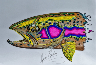 Gavin Erwin Fish Artist - #gavinerwin #fishart #artist #art