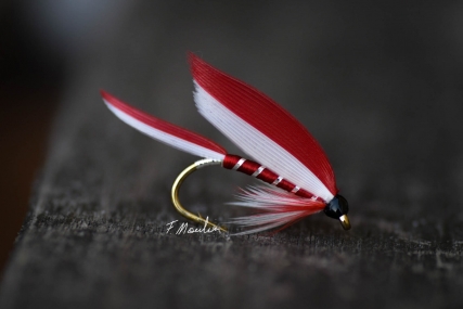 How to Tie an Admiral Steelhead Pattern [Classic Flies Video