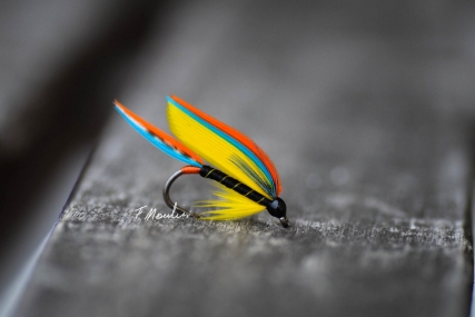Tying better flies, Global FlyFisher