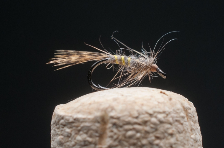 The March Brown Odyssey, Global FlyFisher