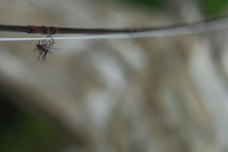 Fly mounted on the rod for transport