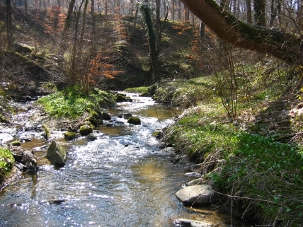 A stream