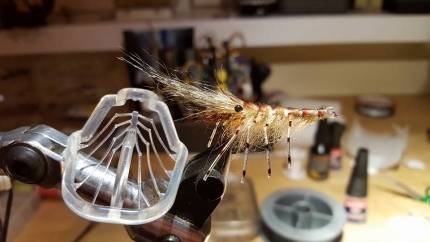 Shrimp legs on a fly