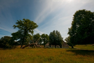 Danish countryside