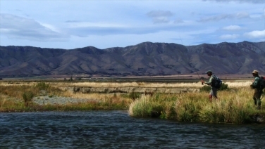 New Zealand backdrop