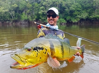 A grande peacock bass