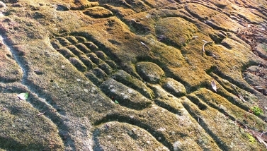 Petroglyphs